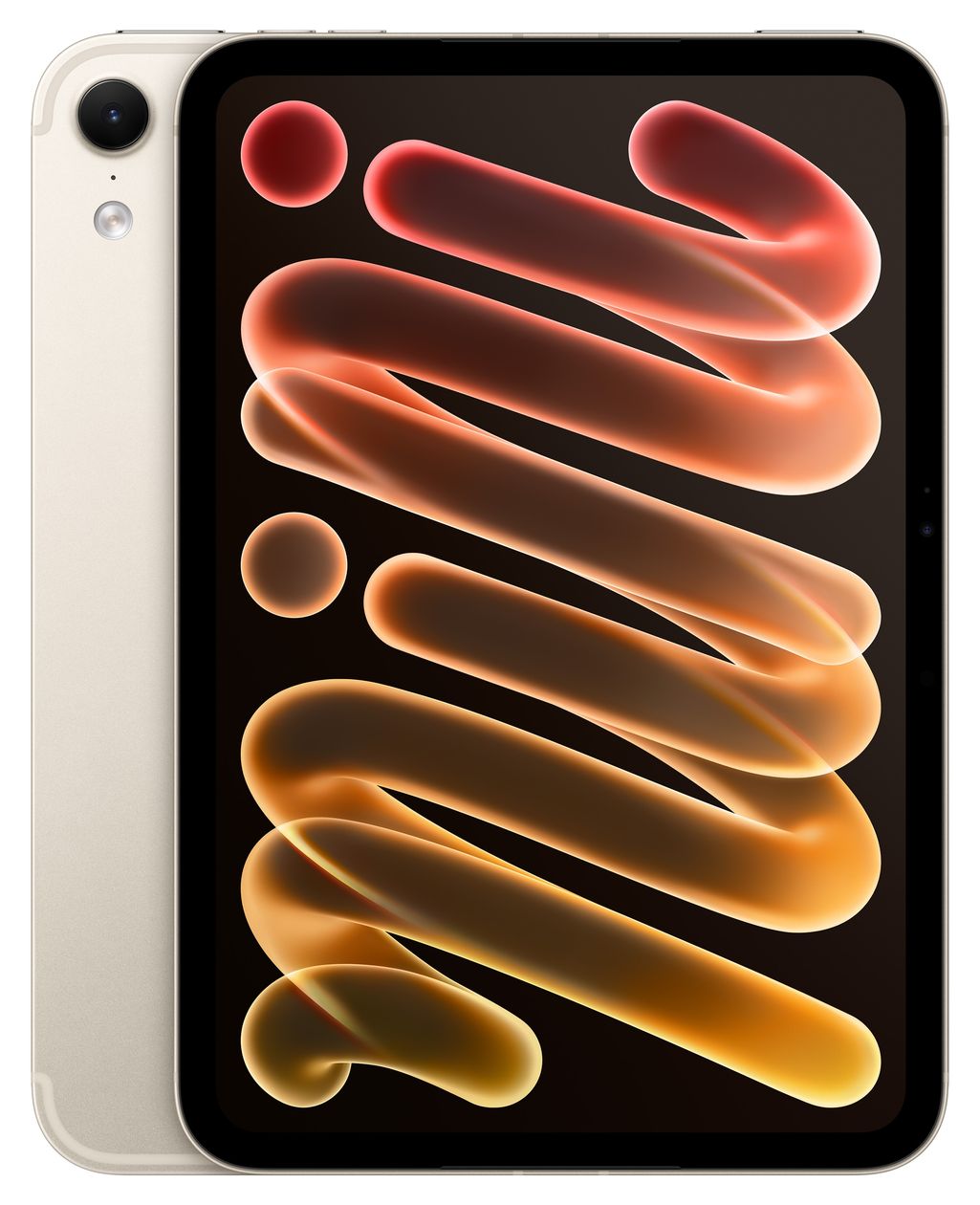 iPad mini 