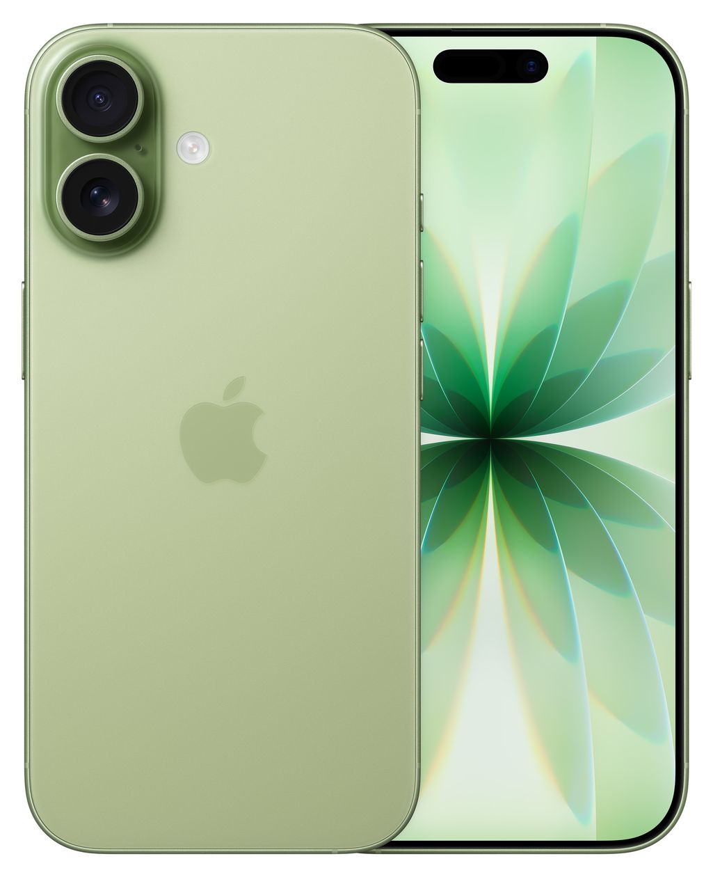 iPhone 17 256 GB 5G Smartphone 16 cm (6.3 Zoll) IOS 48 MP Dual Kamera Dual Sim WiFi 7  (Salbei) 
