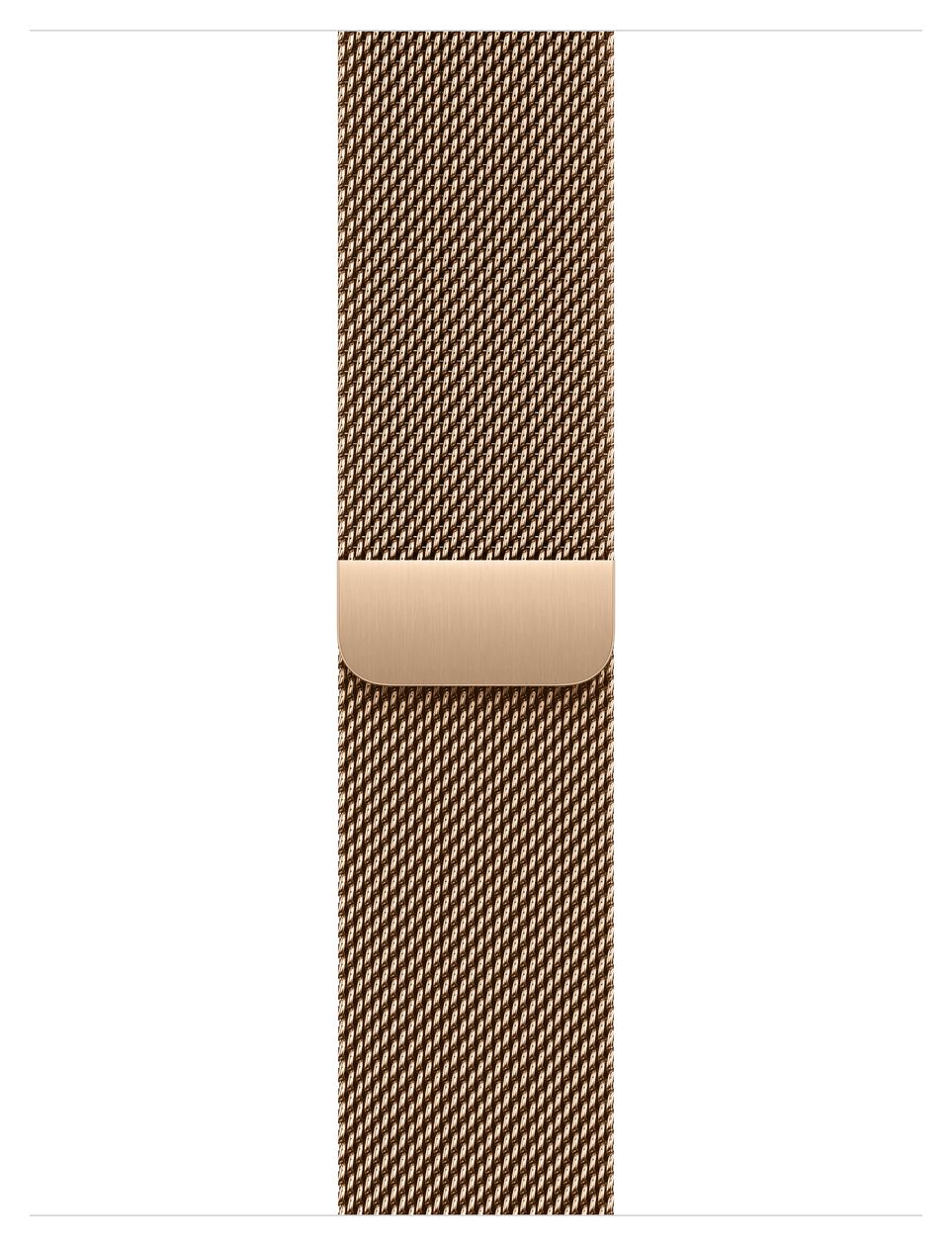 MAXL4ZM/A Armband  Apple Watch Models 38mm 40mm 41mm  (Gold) 