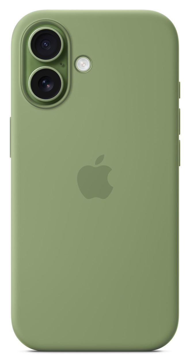 Silikon Case mit MagSafe Cover für Apple iPhone 17  (Grün) 