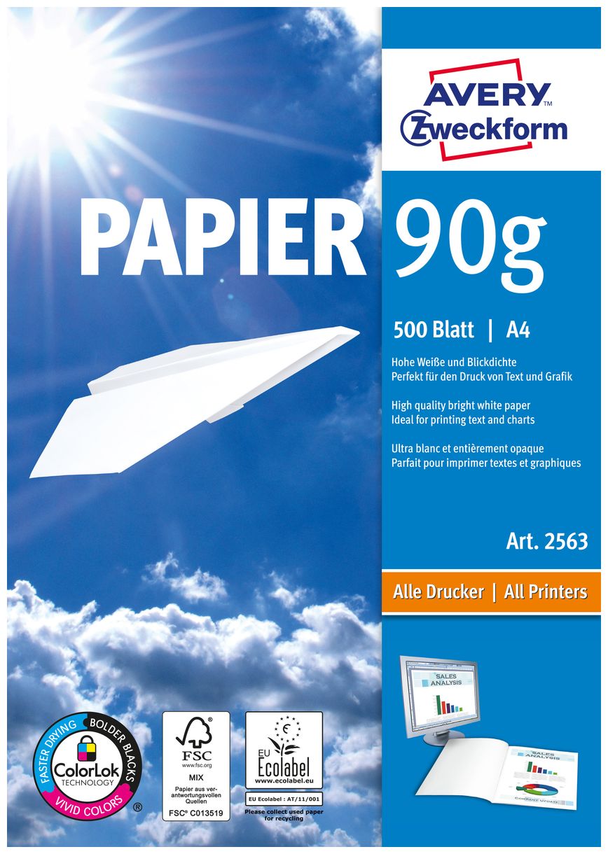 Format Papier A4 90 g/m² 500 Sheets 
