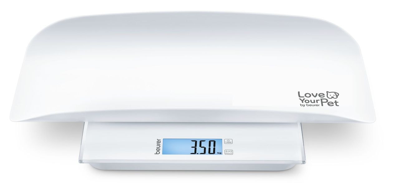 PP 170 Polly 