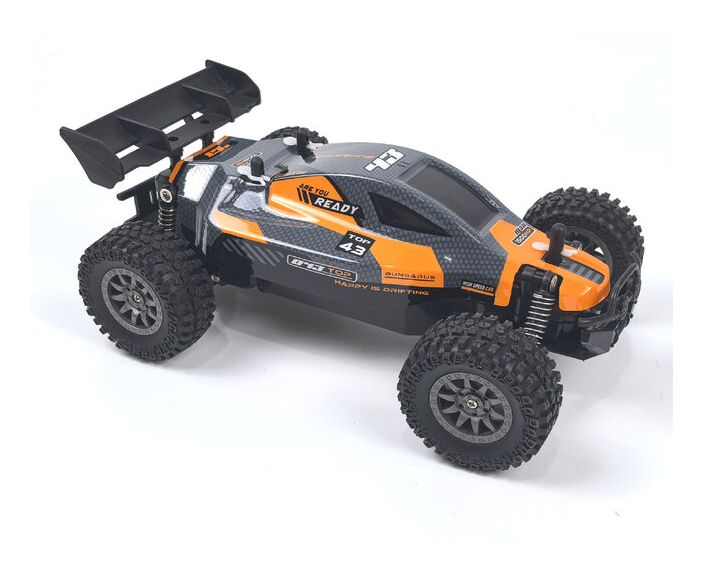 Rookie Fighter Buggy 
