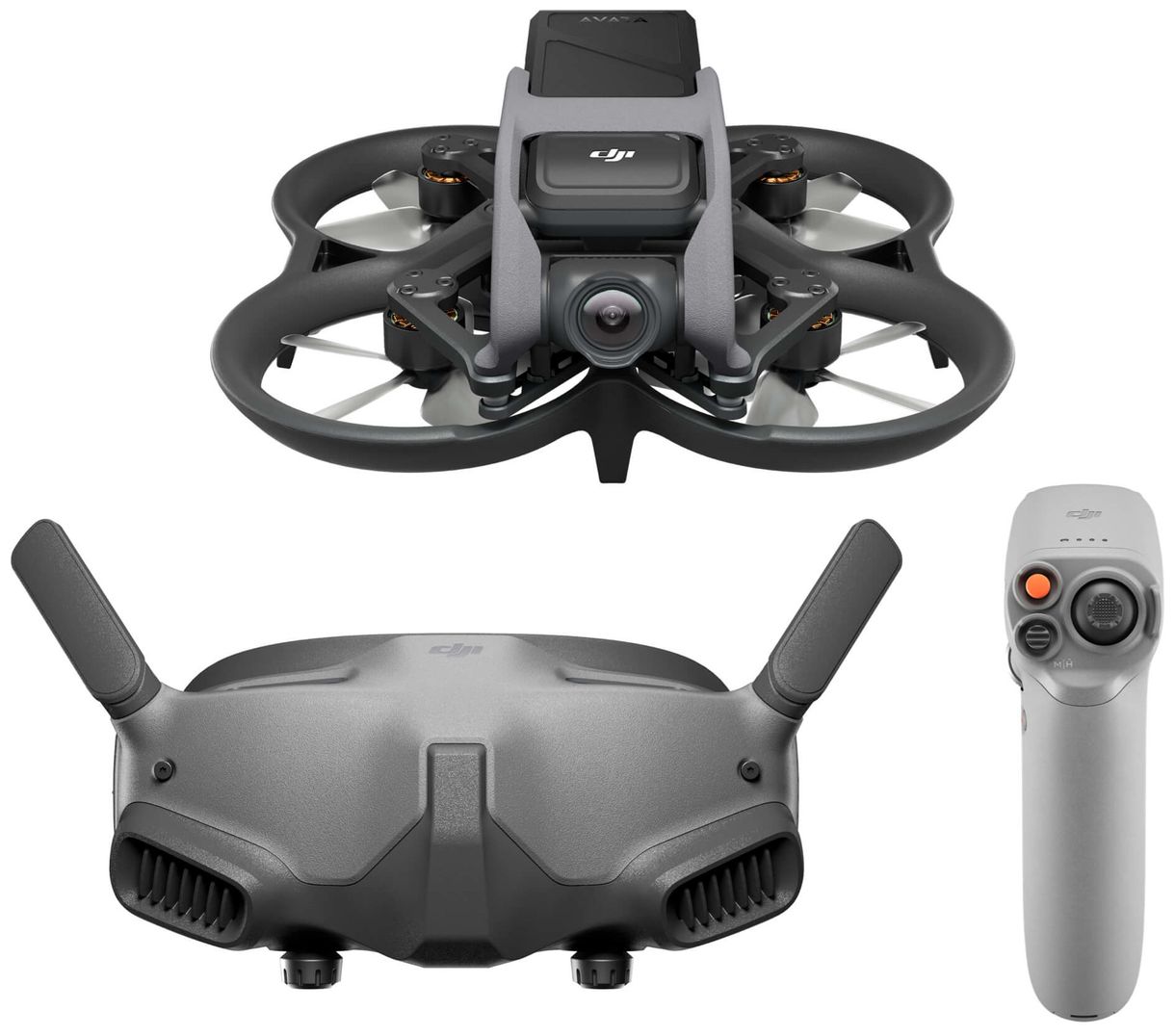 Avata Pro-View Combo (RC Motion 2) 4000 x 3000 Pixel Quadrocopter Multicopter/Drohne (Schwarz, Grau) 