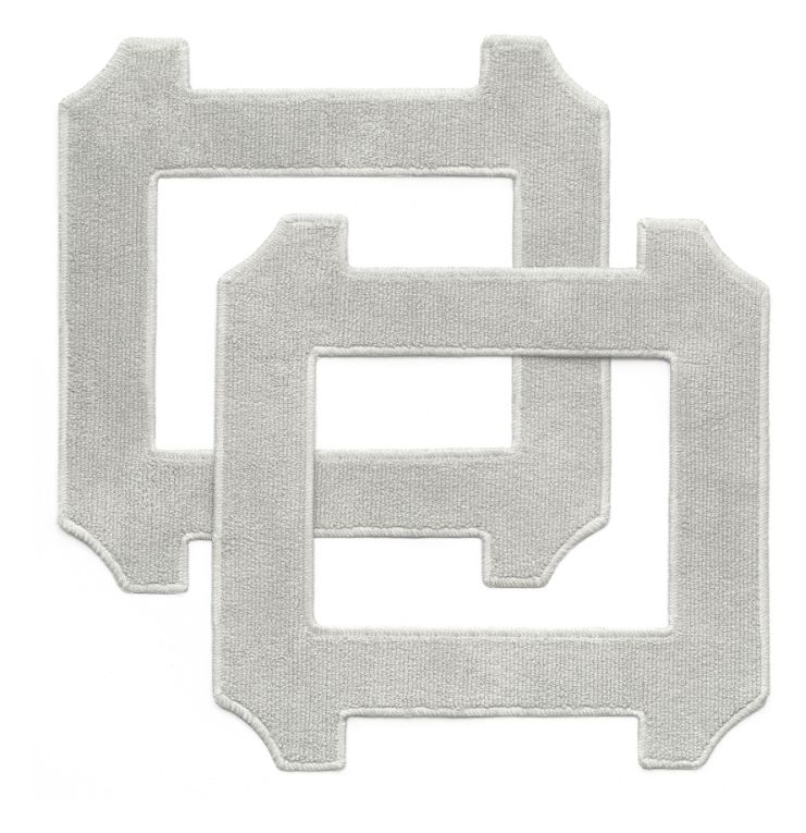 Wischlappen für Hauptgerät - 2 Stück C1/C1 Station 