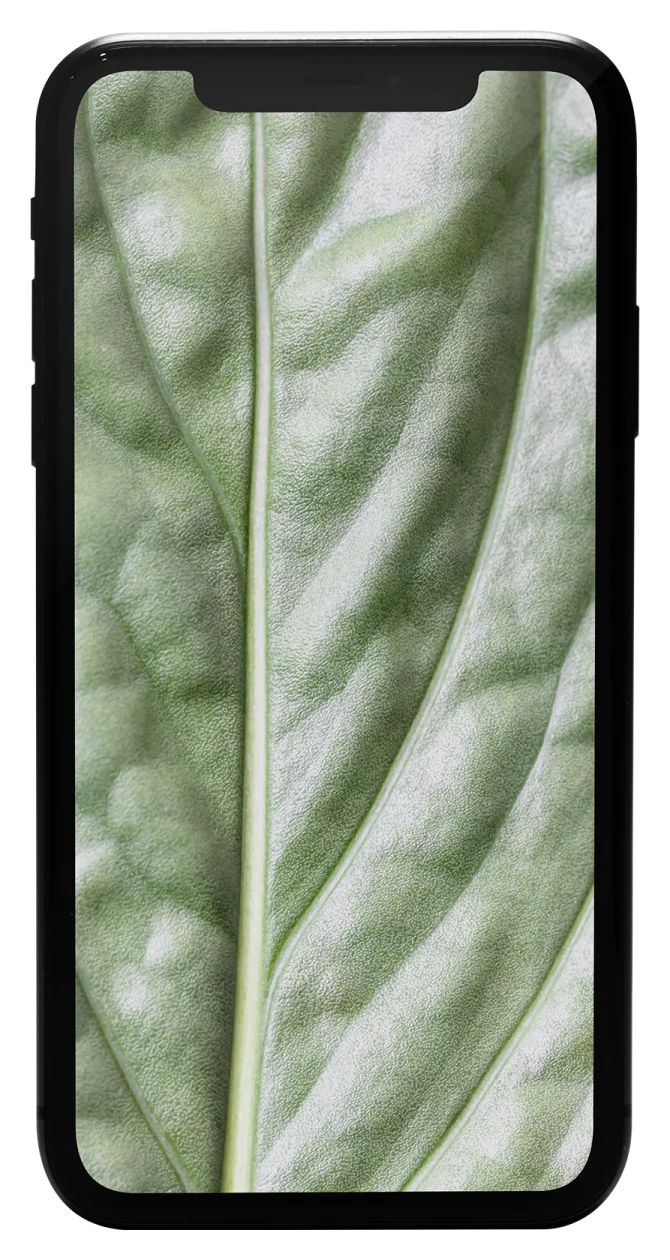 Apple iPhone 11 refurbished 128 GB Smartphone 15,5 cm (6.1 Zoll) IOS 12 MP Dual Kamera  (Schwarz) 