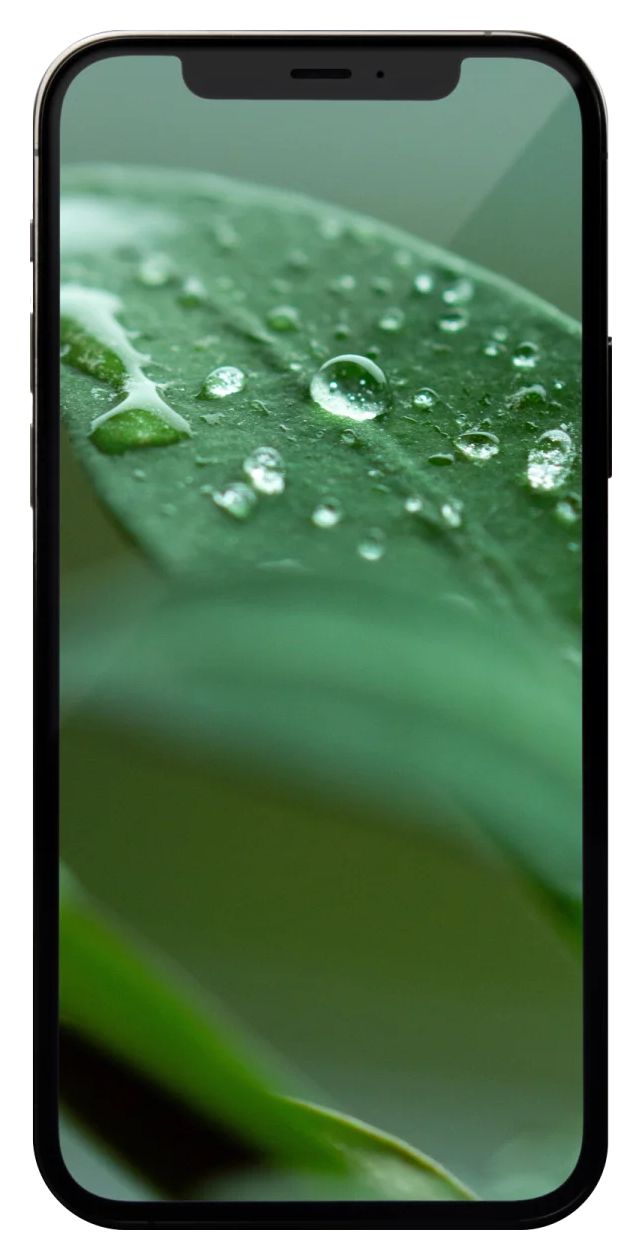 Apple iPhone 12 Pro refurbished 128 GB 5G Smartphone 15,5 cm (6.1 Zoll) IOS 12 MP Dreifach Kamera Dual Sim  (Graphit) 