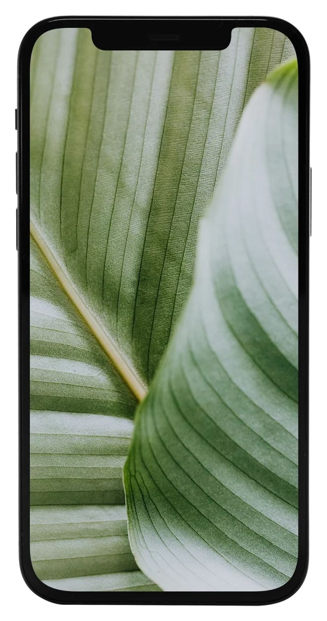 Apple iPhone 12 refurbished 64 GB 5G Smartphone 15,5 cm (6.1 Zoll) IOS 12 MP Dual Kamera Dual Sim  (Schwarz) 