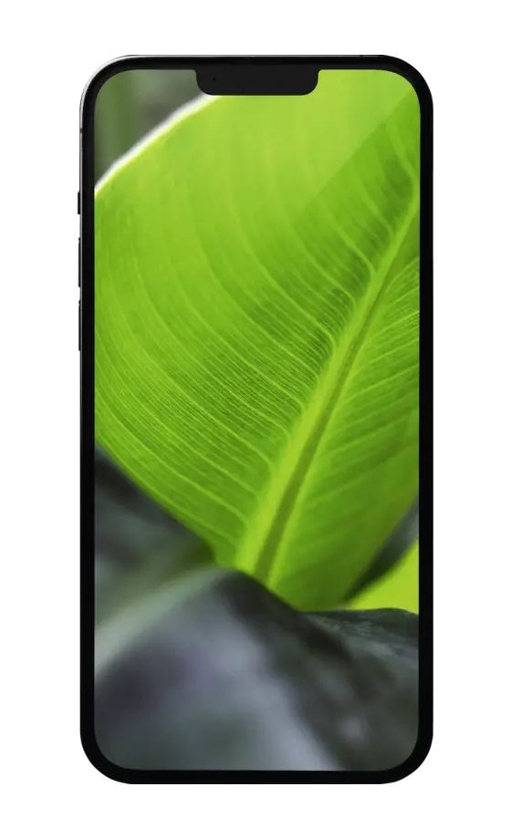 Apple iPhone 13 Pro Max refurbished 128 GB 5G Smartphone 17 cm (6.7 Zoll) IOS 12 MP Dreifach Kamera Dual Sim WiFi 6  (Graphit) 