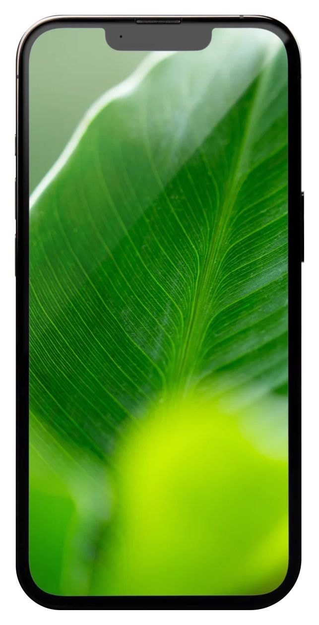 Apple iPhone 13 Pro refurbished 256 GB 5G Smartphone 15,5 cm (6.1 Zoll) IOS 12 MP Dreifach Kamera Dual Sim  (Graphit, Grau) 