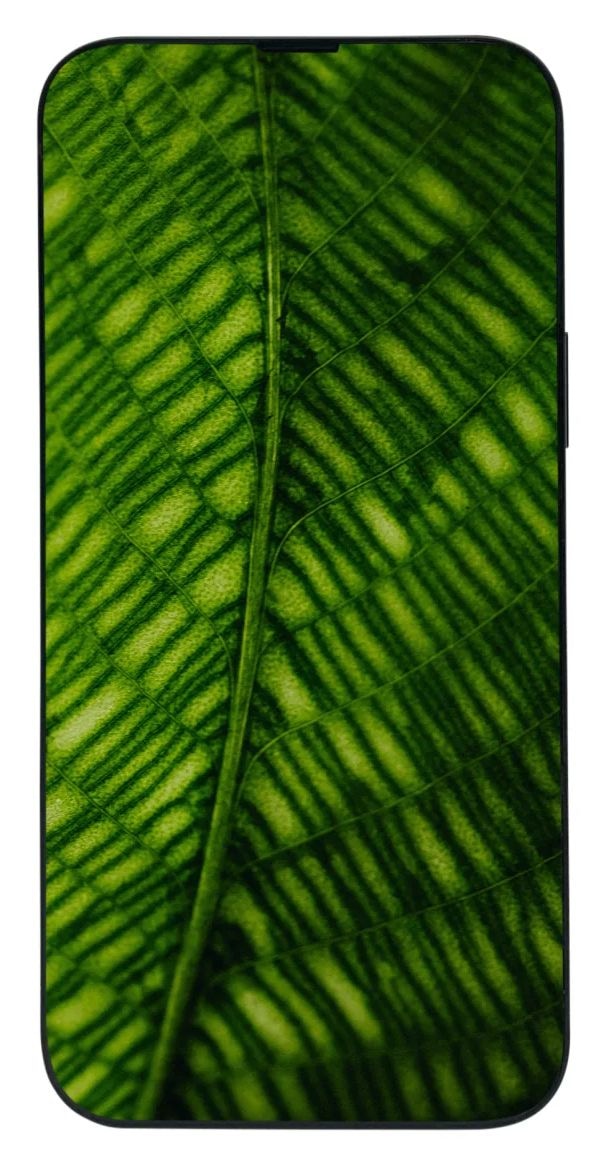 Apple iPhone 15 refurbished 128 GB 5G Smartphone 15,5 cm (6.1 Zoll) IOS 48 MP Dual Kamera Dual Sim WiFi 6  (Schwarz) 