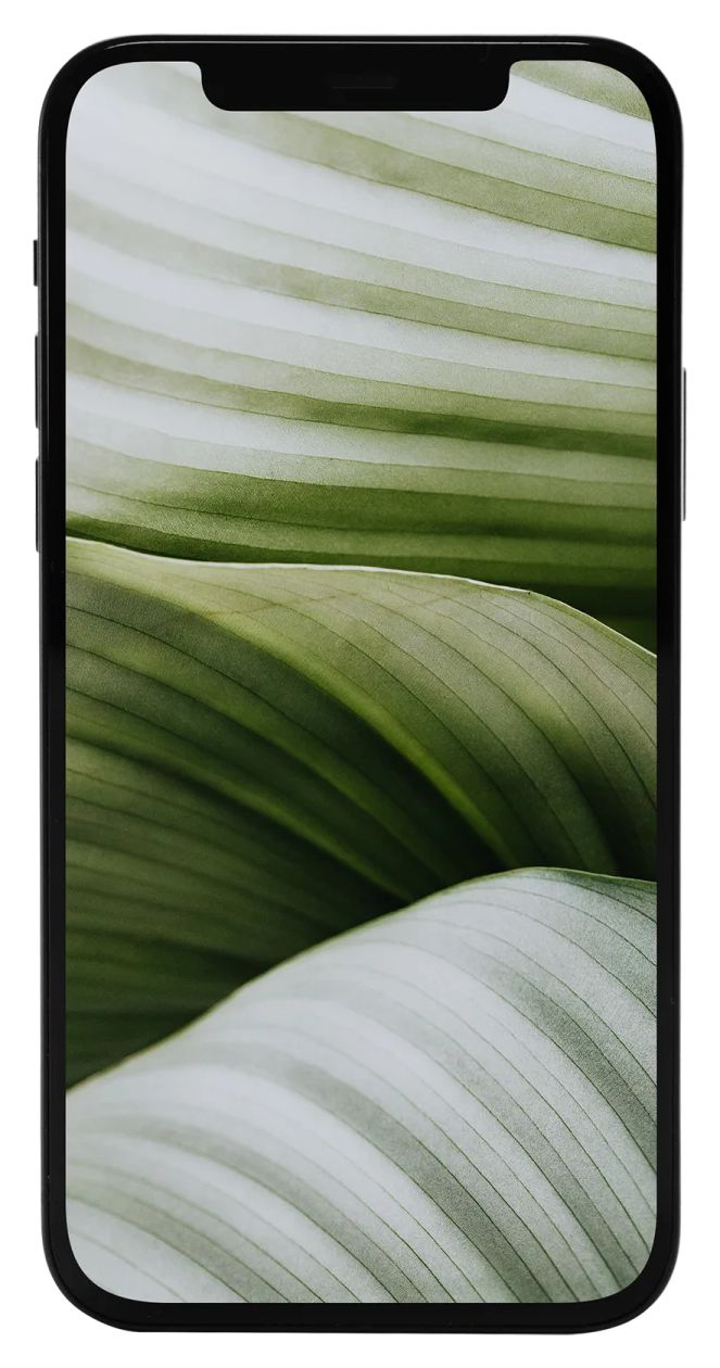 iPhone 12 mini refurbished 128 GB 5G Smartphone 13,7 cm (5.4 Zoll) IOS 12 MP Dual Kamera Dual Sim  (Schwarz) 