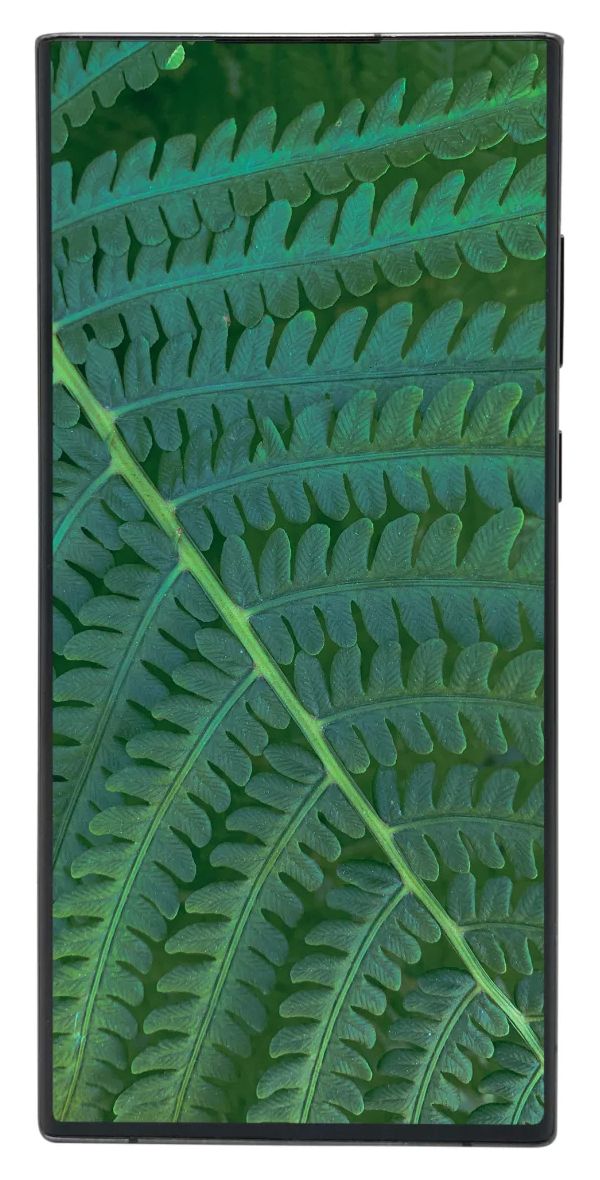 Samsung Galaxy S22 Ultra refurbished 128 GB 5G Smartphone 17,3 cm (6.8 Zoll) Android 108 MP Vierfach Kamera Dual Sim WiFi 6E (Phantom Black) 