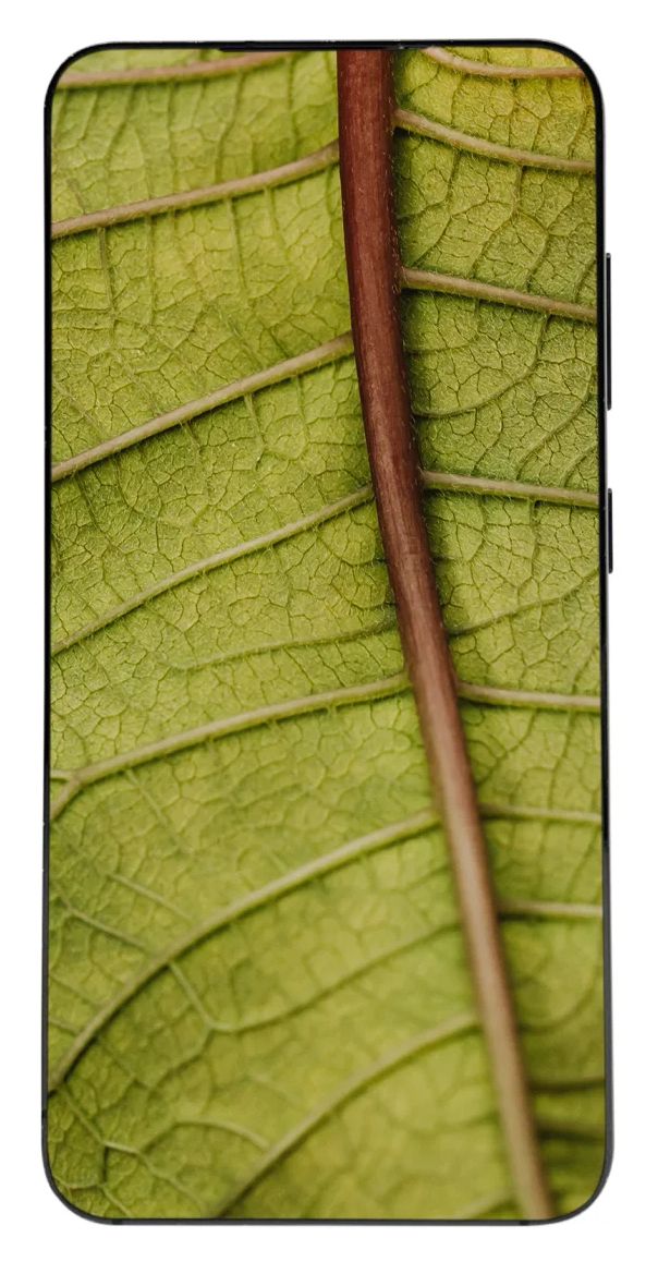 Samsung Galaxy S23 refurbished 128 GB 5G Smartphone 15,5 cm (6.1 Zoll) 2,0 GHz Android 50 MP Dreifach Kamera Dual Sim WiFi 6E (Phantom Black) 