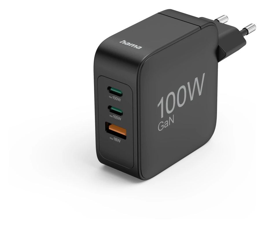 201962 100 W Ladegerät  (Schwarz) 