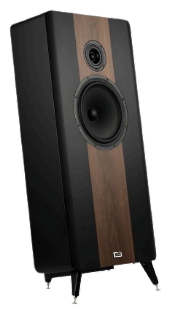 Direkt Premium 320 W 2-Wege Lautsprecher  (Schwarz) 