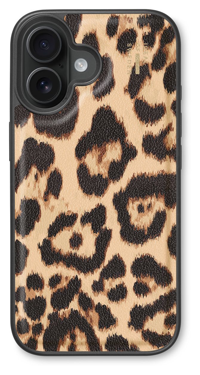 IDVLCMS-I2461-579 iPhone 16  (Mehrfarbig) 