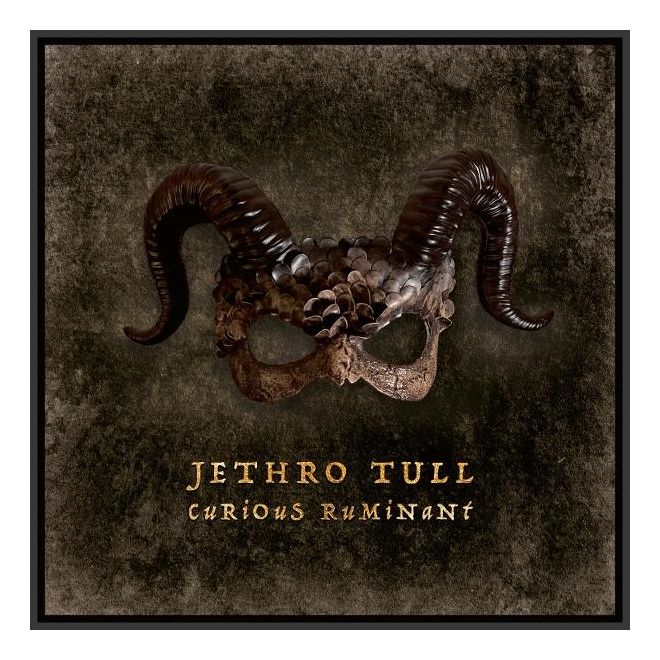 Jethro Tull - Curious Ruminant 
