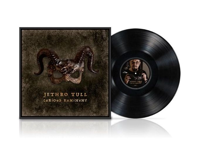 Jethro Tull - Curious Ruminant 