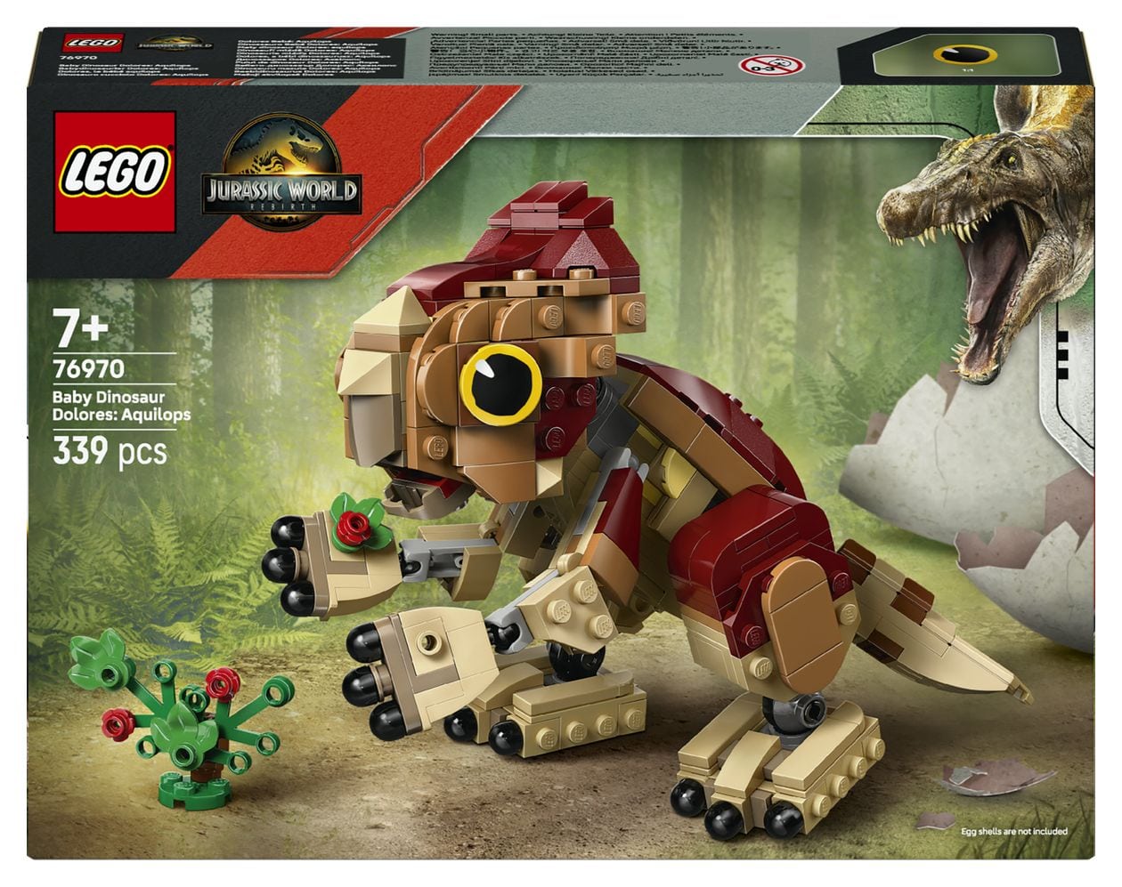 Babydinosaurier Dolores: Aquilops 