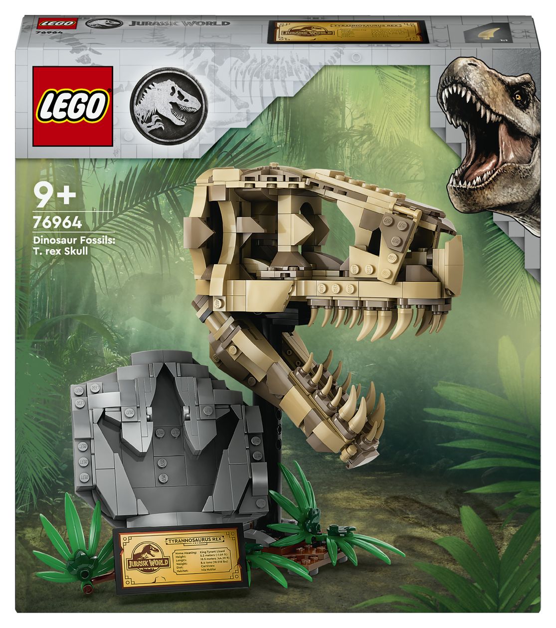 Dinosaurier-Fossilien: T.-rex-Kopf 