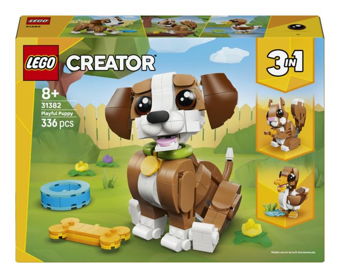 Niedliche Tiere: Verspielter Welpe 