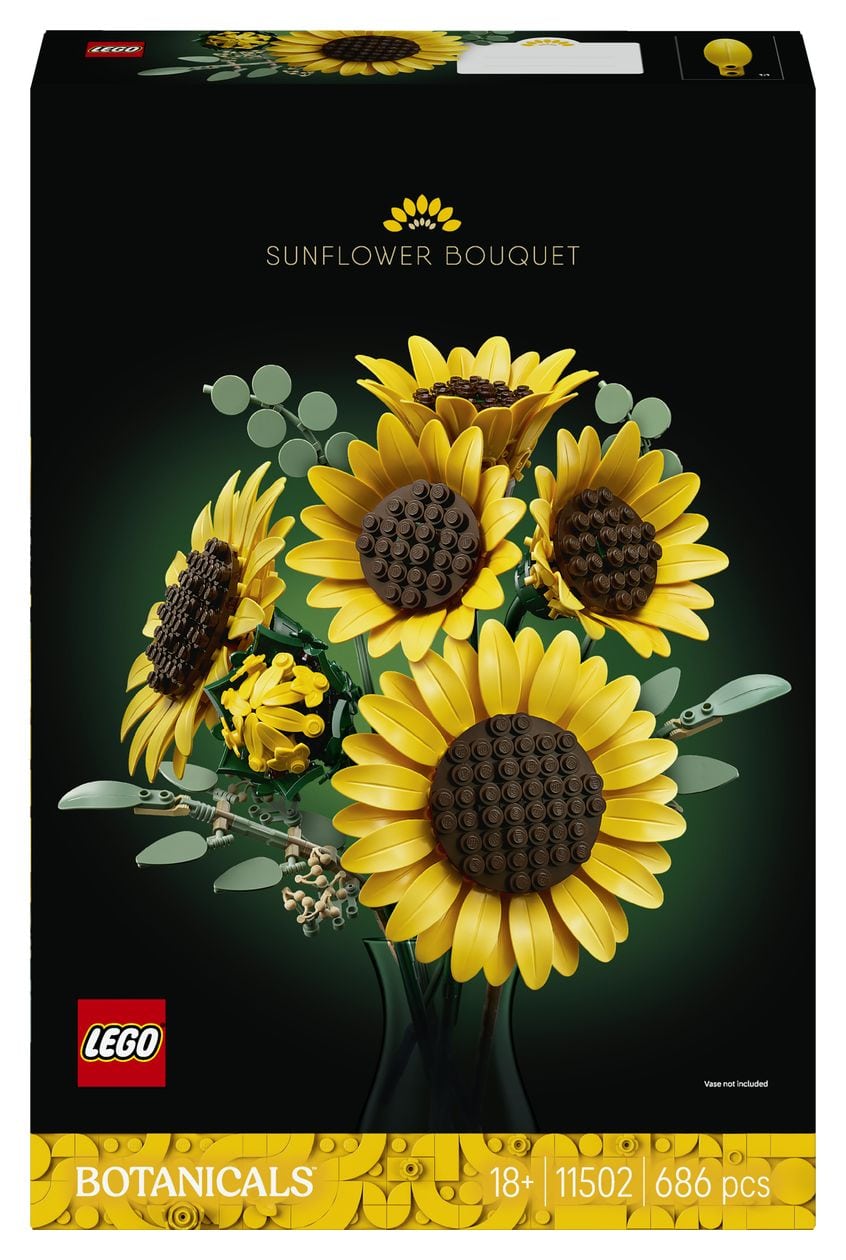 Sonnenblumen 