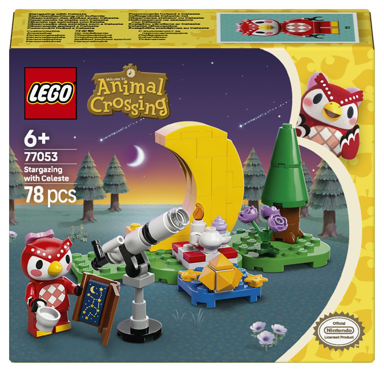 Sternbeobachtung mit Eufemia 