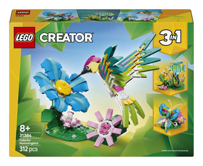 Wilde Tiere: Bunter Kolibri 