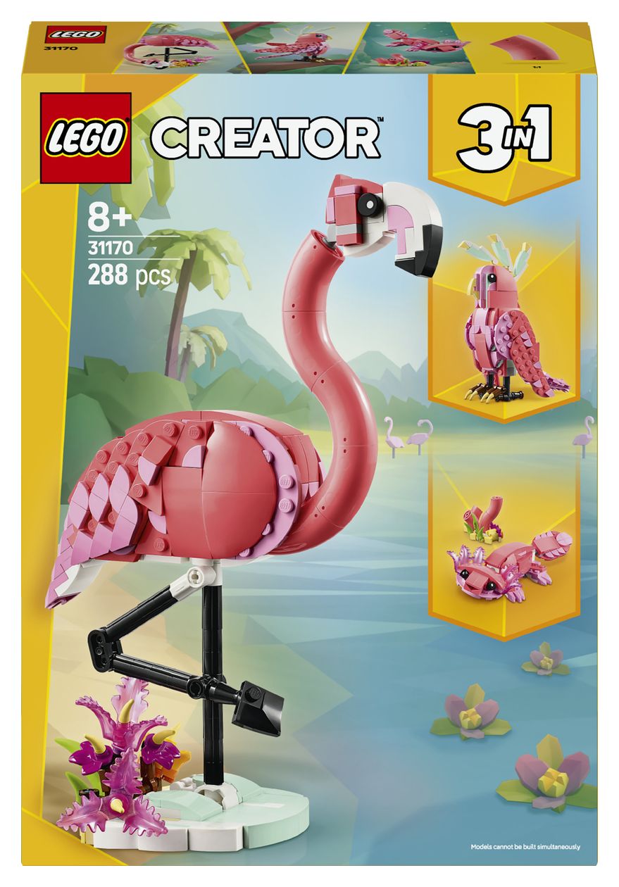 Wilde Tiere: Rosa Flamingo 