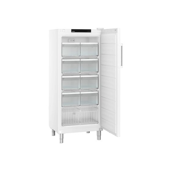 FFFsg5501 289 l Gefrierschrank 1234 kWh Jahr  (Weiß) 