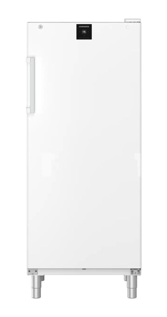 FFFvg5501-40 322 l Gefrierschrank 1007 kWh Jahr  (Weiß) 