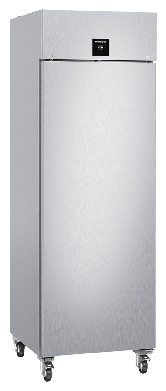 FFPSvg6501 Performance 486 l Gefrierschrank 1180 kWh Jahr  (Edelstahl) 