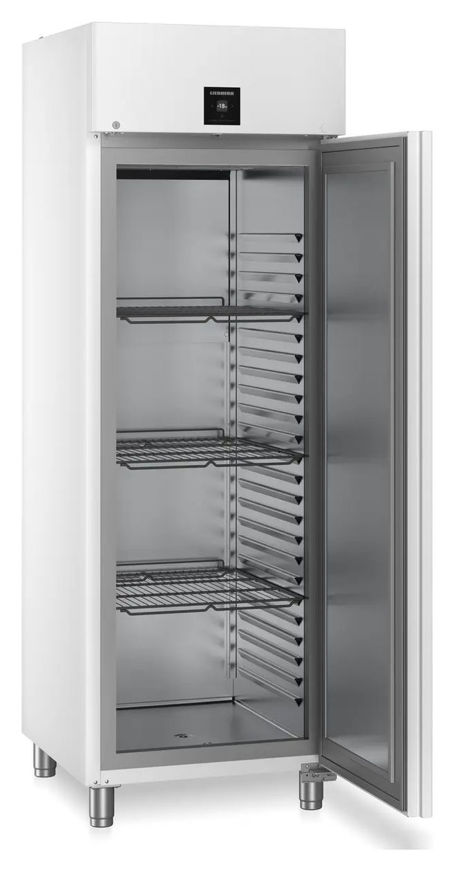 FFPvg6501 Performance 486 l Gefrierschrank 1180 kWh Jahr  (Weiß) 