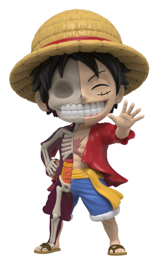 XxRay One Piece: Luffy 