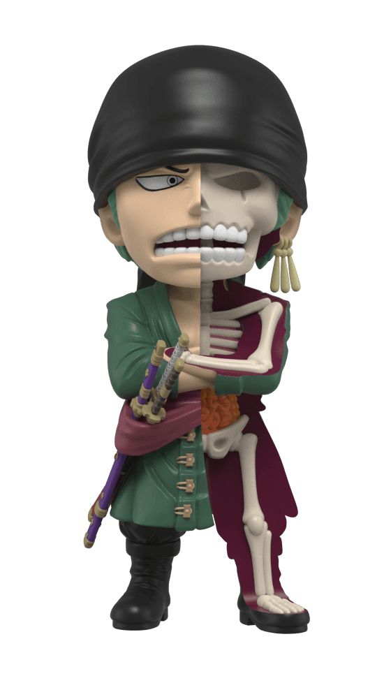 Xxray One Piece: Zoro 
