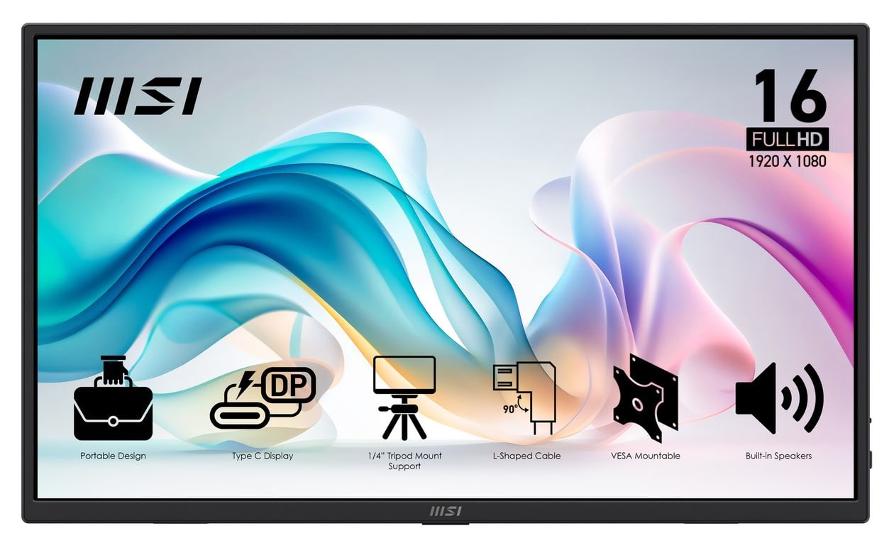 Pro MP165DE E6 Full HD Monitor 39,6 cm (15.6 Zoll) 16:9 4 ms  (Schwarz) 
