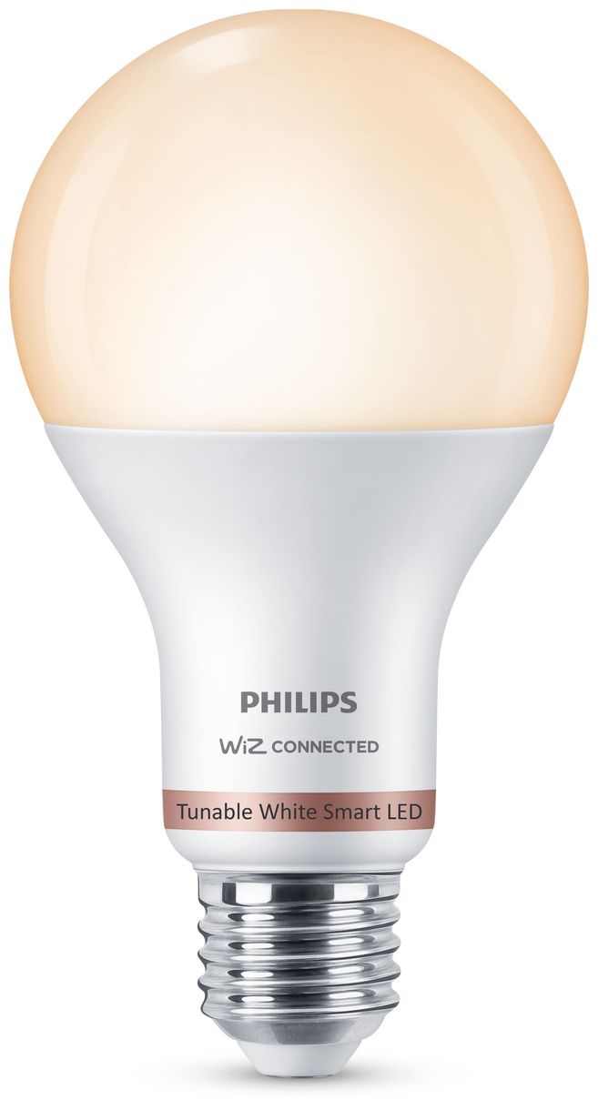 Lampe 13 W (entspr. 100 W) A67 E27 