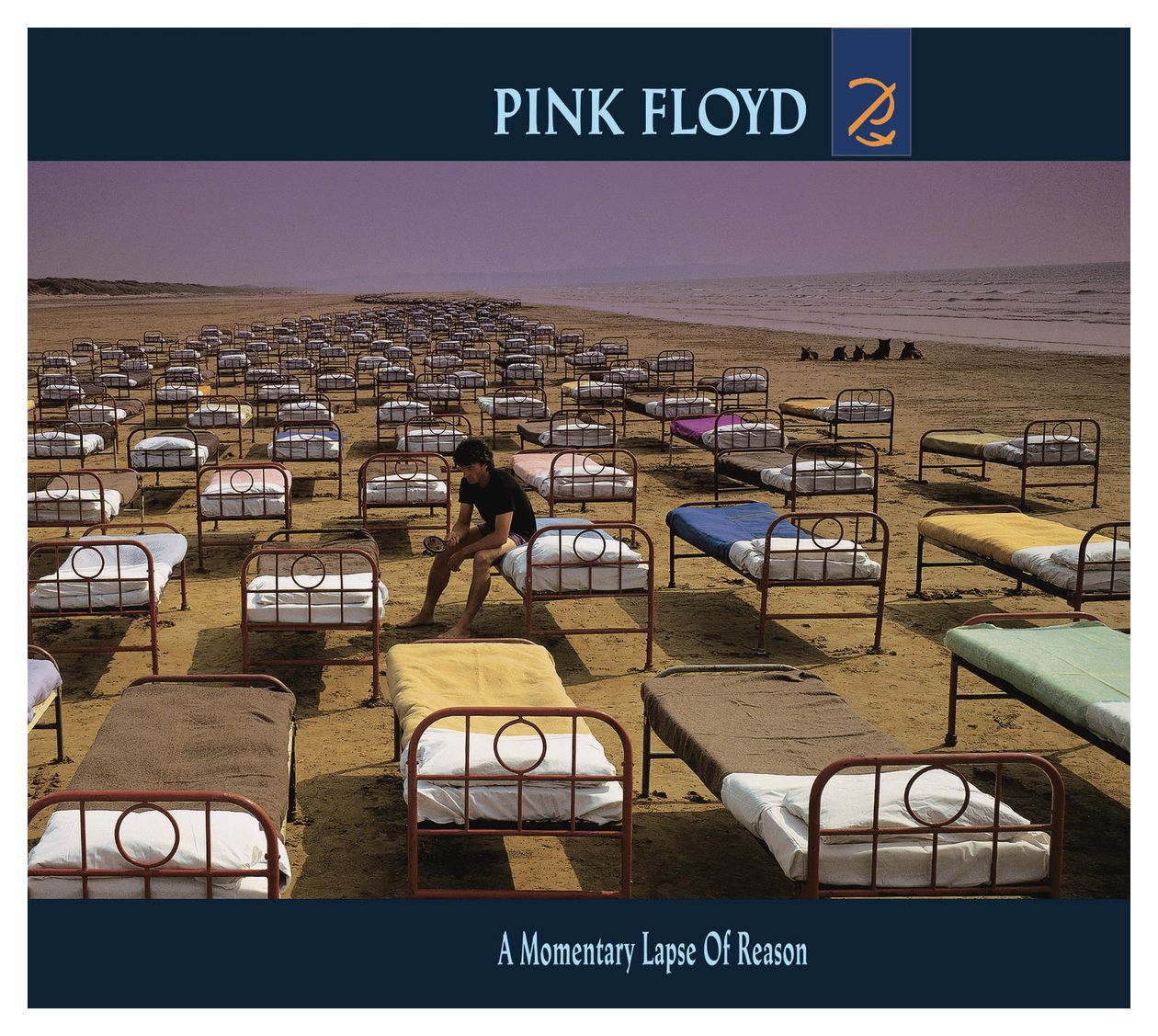 Pink Floyd - A Momentary Lapse of Reason 