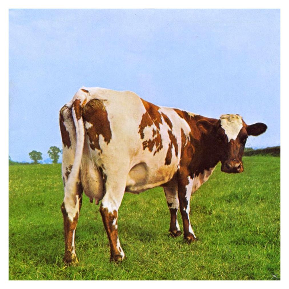 pink-floyd-atom-heart-moth-0190295997083-1.jpeg