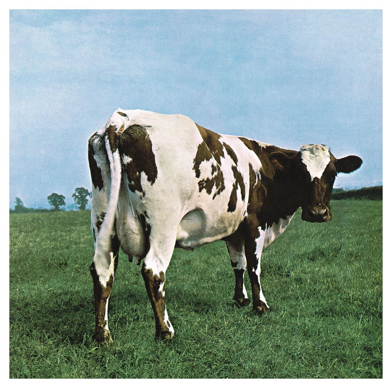 Pink Floyd - Atom Heart Mother 