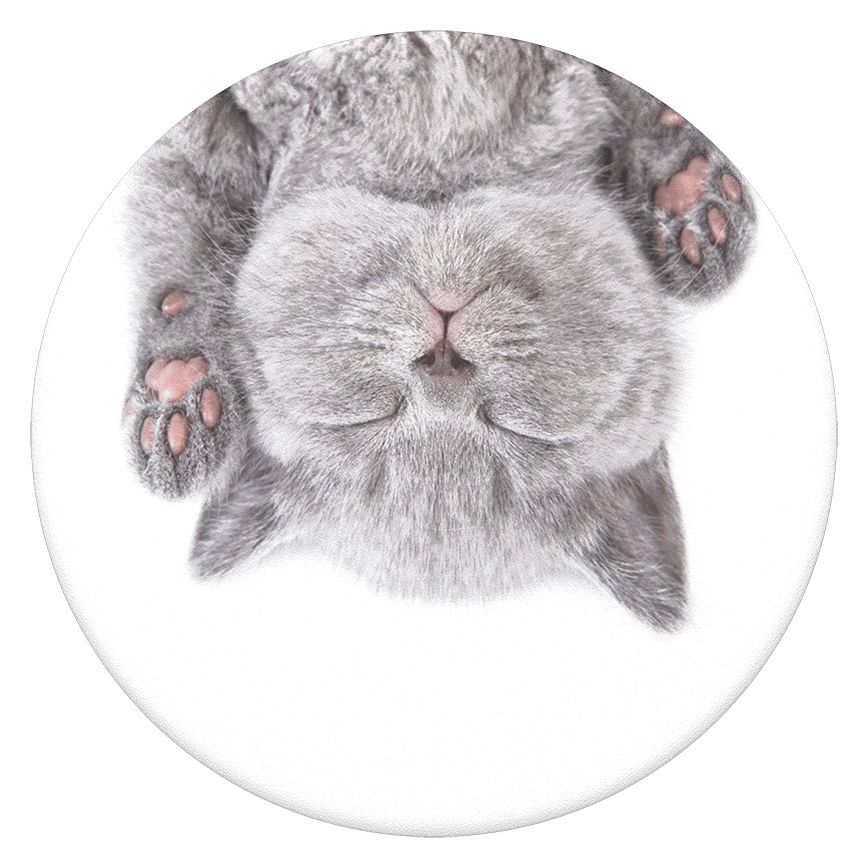 PG Katzenschläfchen 