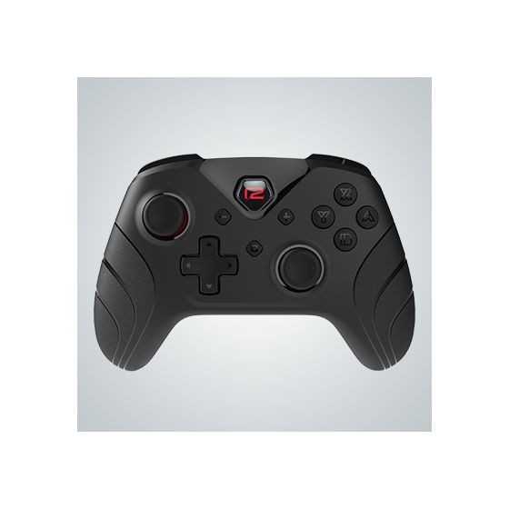 Switch Pro Pad X 