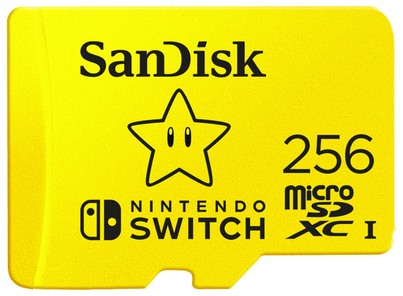 Extreme Nintendo Switch MicroSDXC Speicherkarte 256 GB Class 3 (U3) 
