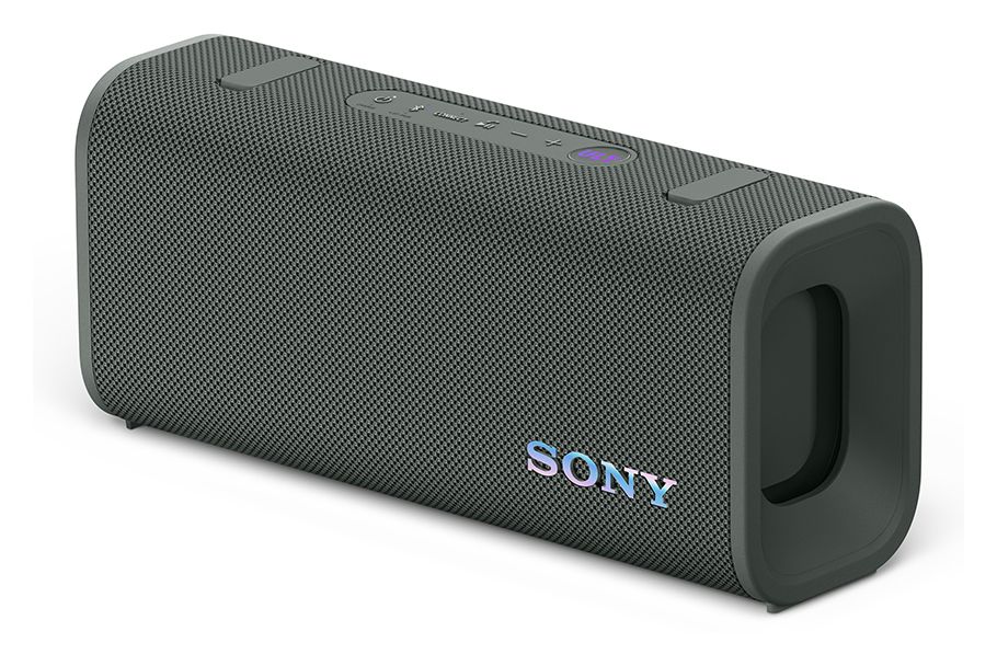 SRS-ULT30 Wlan Lautsprecher mit Bluetooth  (Grau) 