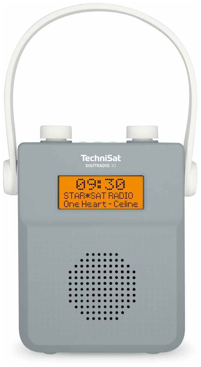 Digitradio 30 Bluetooth DAB+, FM Tragbar Radio IPX5 (Grau) 