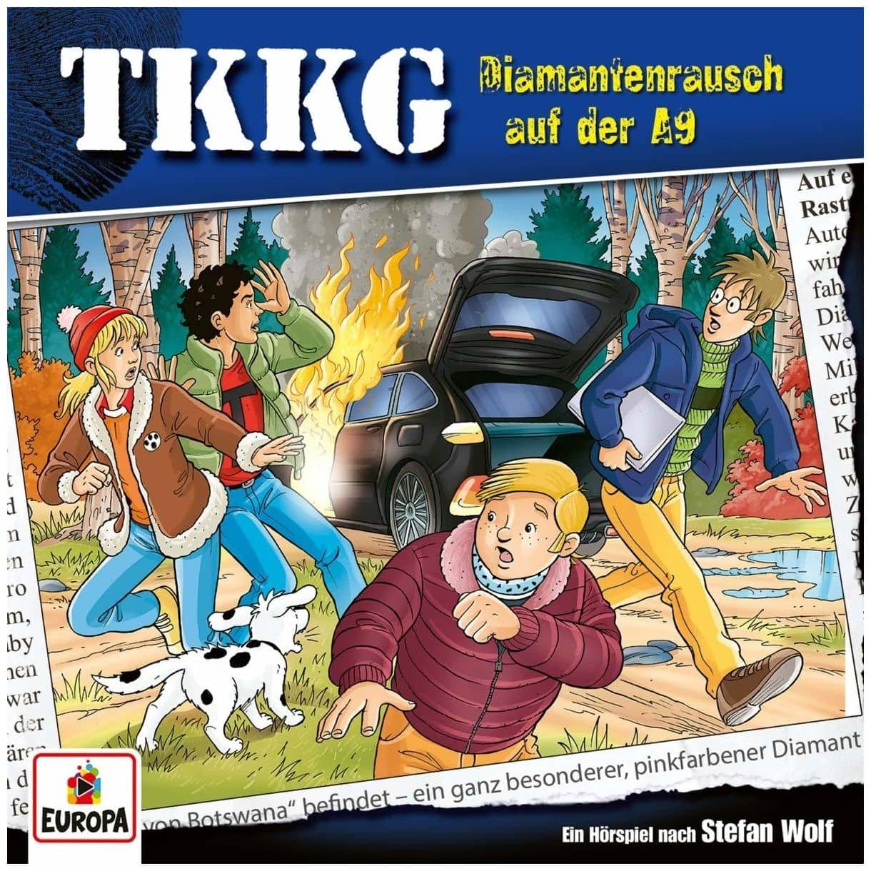 TKKG (214): Diamantenrausch auf der A9 