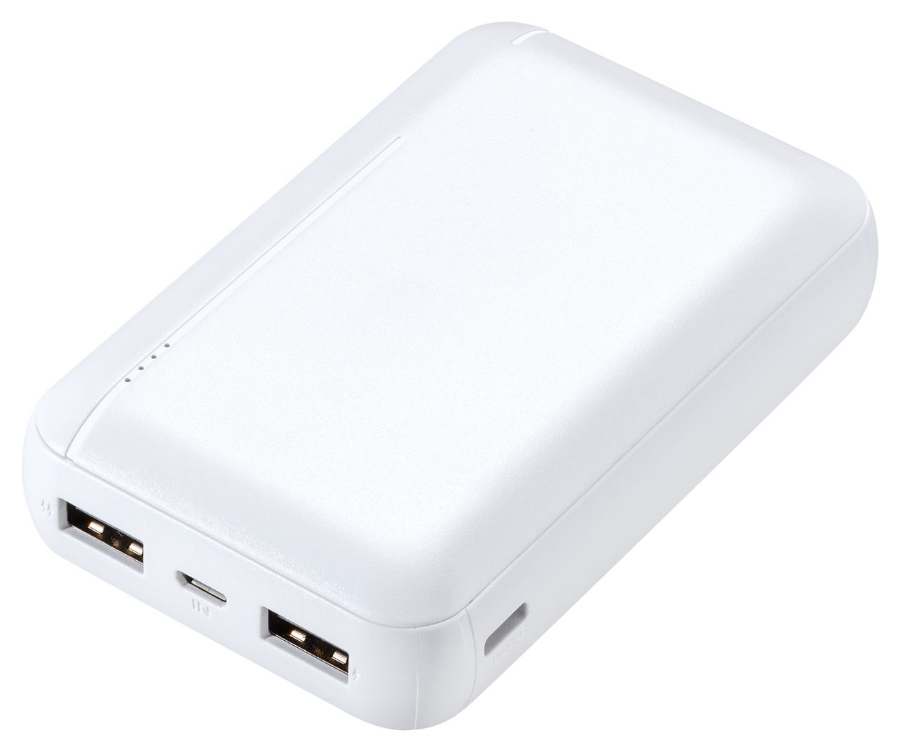 Fast Charge 10000 mAh Powerbank Micro-USB + USB Type-C  (Weiß) 