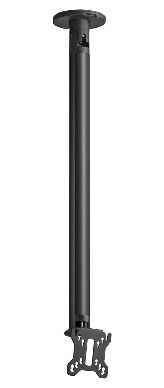 CT243011 Zimmerdecken Halterung bis 81,3 cm (32") 30 kg neigbar 