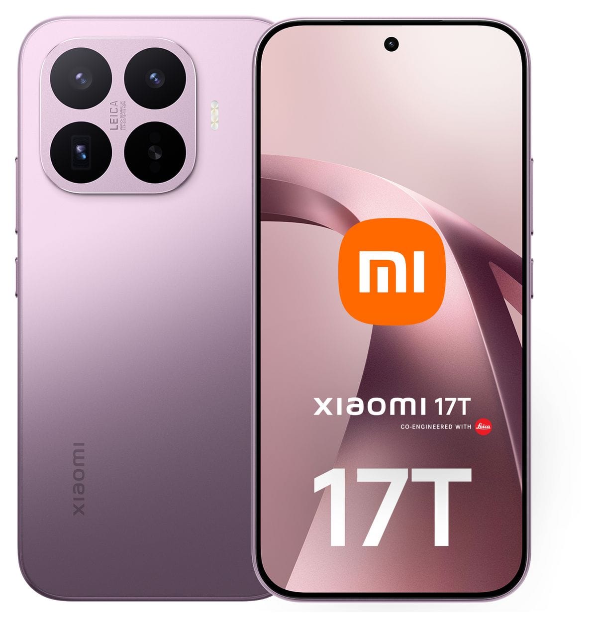 17T 